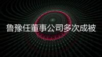 鲁豫任董事公司多次成被执行人 执行标的超446万